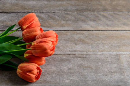 bouquet of tulips in front of spring scene, beautiful tulips on wooden background