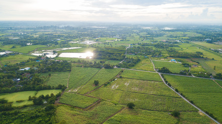 Aerial view of the housing with the typical rice farming or agriculture in rural Ban Pong, Ratchaburi, Thailandの写真素材
