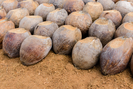 Group of Coconut Perfume is cutting head Arrange, Sort orderly preparations for such varieties for...
