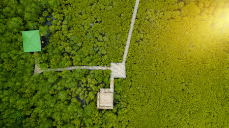Aerial view, Viewpoint of Mangroves in Tung Prong Thong or Golden Mangrove Field at Estuary Pra Sae,...