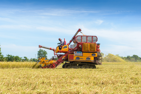 Combine harvester Working on rice field. Harvesting is the process of gathering a ripe crop from the fields in thailandの写真素材