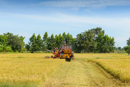 Combine harvester Working on rice field. Harvesting is the process of gathering a ripe crop from the fields in thailandの写真素材