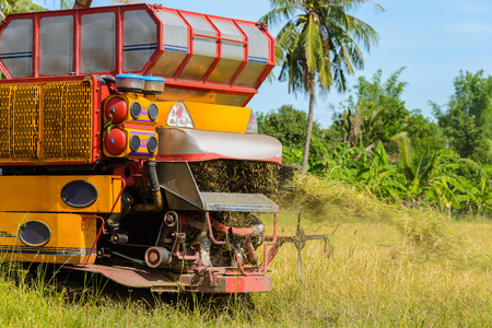 Combine harvester Working on rice field. Harvesting is the process of gathering a ripe crop from the fields in thailandの写真素材
