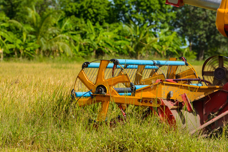 Combine harvester Working on rice field. Harvesting is the process of gathering a ripe crop from the fields in thailandの写真素材