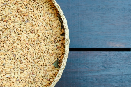 background of rice の写真素材