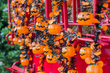 Halloween, pumpkins and Halloween sceneryの写真素材