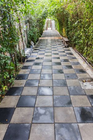 Tunnel pathway covered with green leavesの写真素材