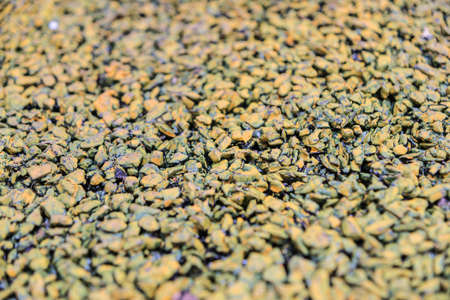 background made of a closeup of a pile of pebblesの写真素材