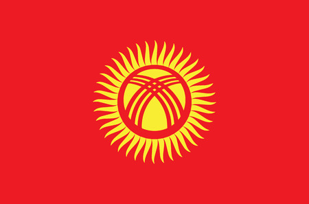 Flag of Kyrgyzstan vector imageのイラスト素材