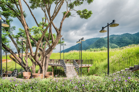 The wood table on natural outdoor of a restaurant with tree and cloudy skyの写真素材