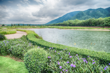 Beautiful view of a small lake edged by green trees at autumn cloudy evening.の写真素材