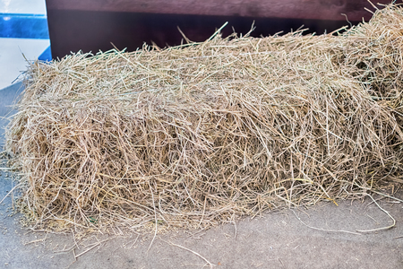 a pile of straw on field, straw bales after harvest.