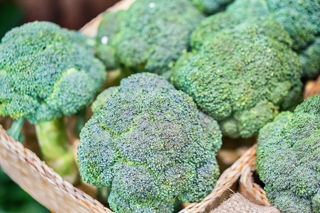 Group of fresh broccoli close up.の写真素材