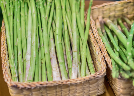Bunches of asparagus on a wood background.の写真素材