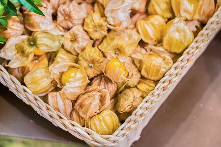 cape gooseberry physalis fruit ground cherry organic food vegetabl golden berry tasty wood backgroundの写真素材