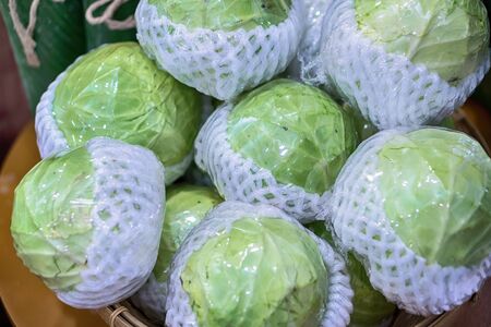 head of the salad in plastic bag. look niceの写真素材