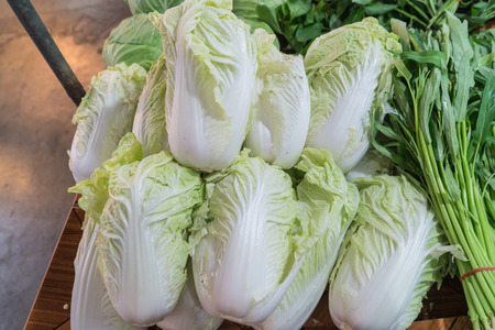 Chinese cabbage or Napa cabbageの写真素材