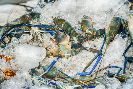 Raw shrimps in marketの写真素材