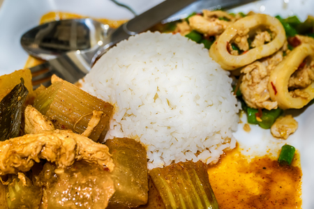 Chicken Curry and rice on a white plate.の写真素材