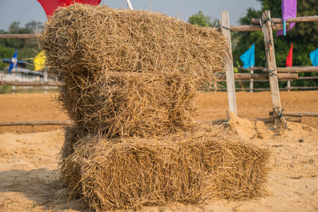 A wall of rectangular bales of straw stacked in a field before being transported to shelterの写真素材