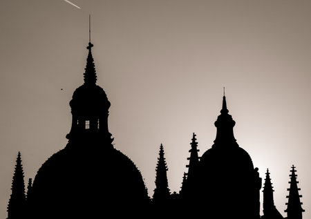 Silhouette of the cathedral of Segovia at sunset with pigeons on the roofsの写真素材