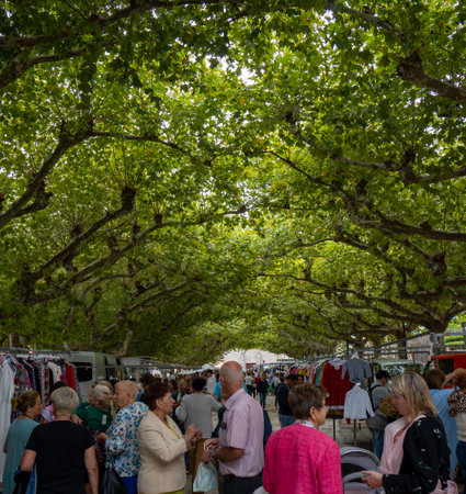 Large group of people and older people shopping at the Rianxo market with a shadow of leafy and green trees covering the squareのeditorial素材