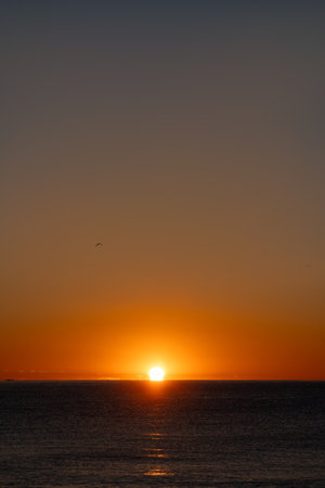 The sun emerging on the sea horizon line at dawn illuminating with sunlight the water of the calm Mediterranean Sea, with the sky tinted orange, a seagull flying and silhouettes boats on the horizon.の写真素材