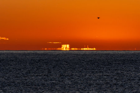 The dawn sun illuminates the horizon line of the Mediterranean Sea, creating mirages and optical illusions forming golden islands of light in the background. Seagull flying over an orange sky and a caの写真素材
