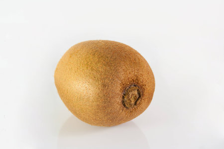 Fresh kiwi fruitの写真素材