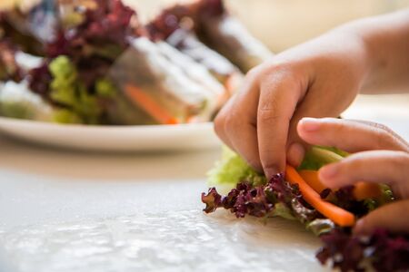 making fresh vegetable salad roll, healthy meal for diet.の写真素材