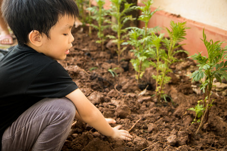 A boy sitting to plant trees in the hole with his hands.の写真素材