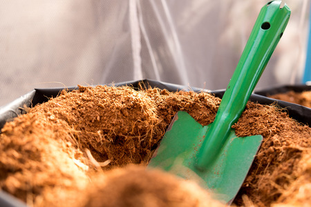 Preparation for planting the plant by use shovel dig the hole in the tree pot for conservation ready for climate changed.の写真素材