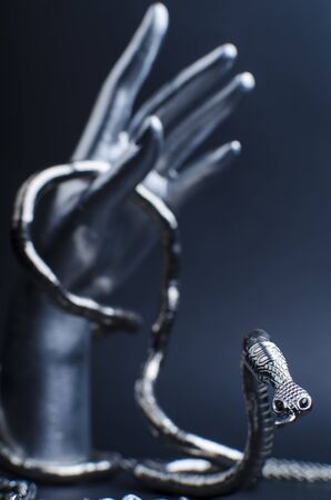 Snake Braceletの写真素材