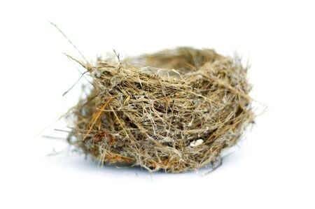 Real bird's nest isolated over white.の写真素材
