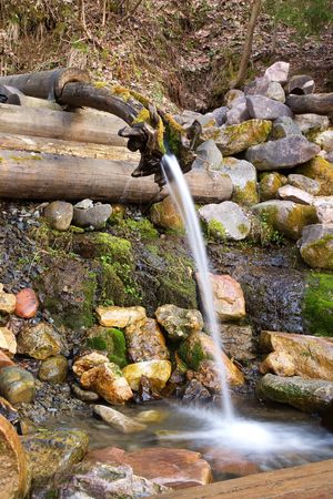 Source of life (water source in the Russia)の写真素材