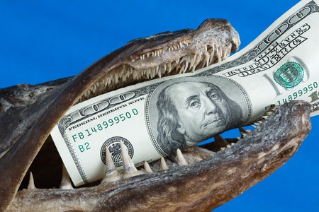 The fish mouth holds dollar on blue backgroundの写真素材
