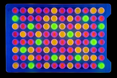 Ninety-six well plate containing multi-coloured fluorescing samples. Isolated on black [with...