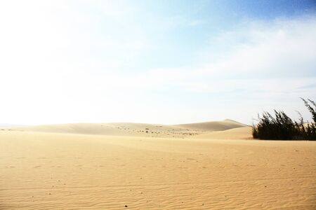 sand desert at mui ne, vietnamの写真素材