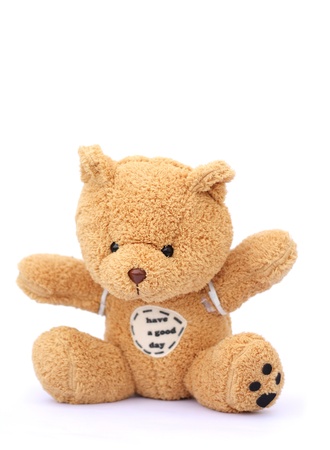 teddy bear isolated on whiteの写真素材