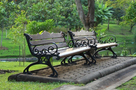two bench in the parkの写真素材