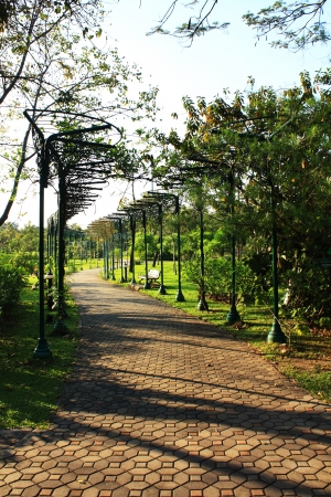 walkway across the parkの写真素材