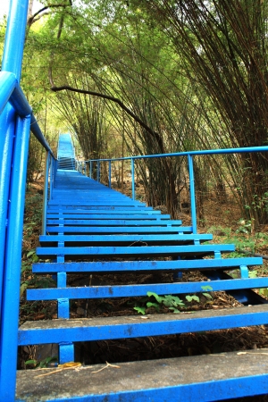 blue staircase in the bamboo forestの写真素材