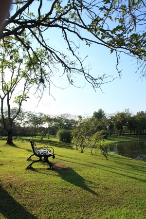 bench in the gardenの写真素材