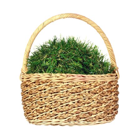 artificial grass ball in wicker basket の写真素材