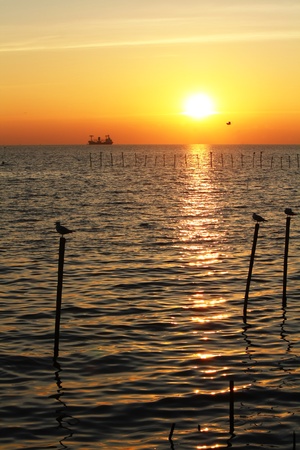 sunset scenery の写真素材