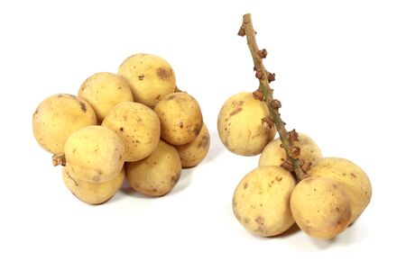 Langsat fruit isolated の写真素材