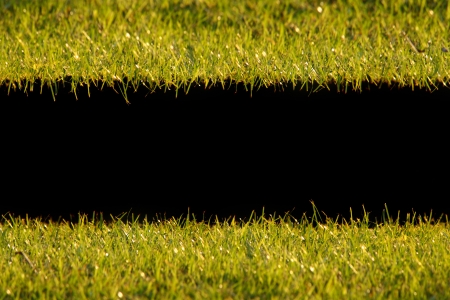 grass frame on black backgroundの写真素材