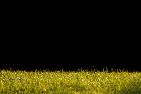grass frame on black backgroundの写真素材