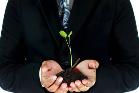 young tree and soil in business man s handの写真素材