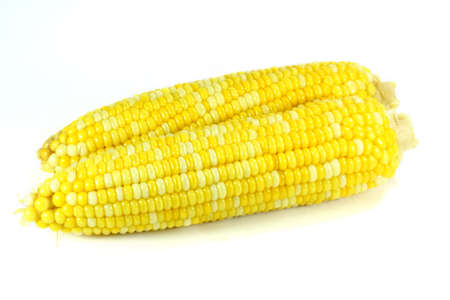 boiled corns on white backgroundの写真素材